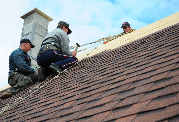 Best Tile Roofing Contractor  in Fredonia, WI